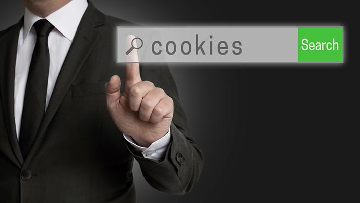 Persona che fa clic su una barra di ricerca per cercare informazioni sui cookie.
